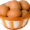 24bb75058c9b9dffc83833fa17daf70b74967d42