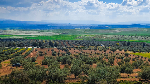 Agriculture durable